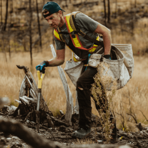 Carbon Offset for Business (Above Average)