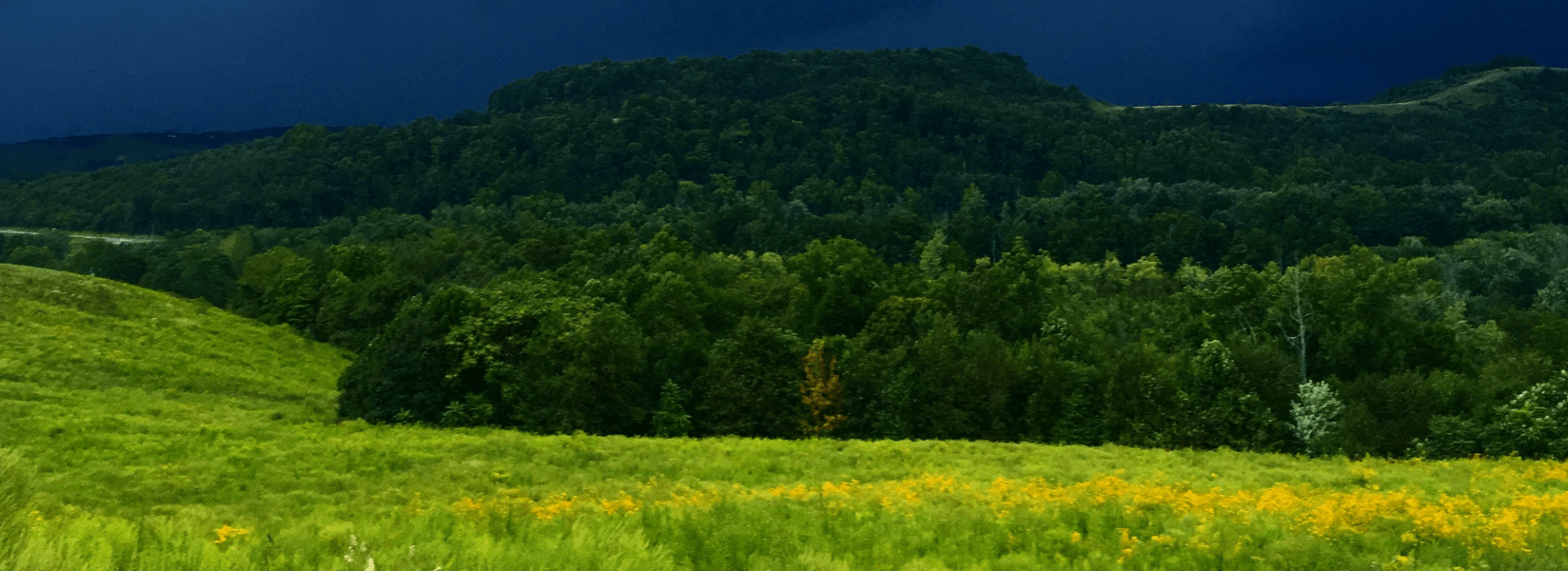 Tree Planting for Farmers - Carbon Offset Ohio