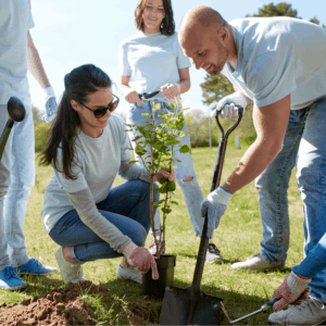 Carbon Offset for Small Business Plus