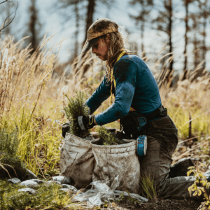 Carbon Offset for Energy-Intensive Business