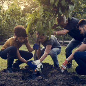 Carbon Offset for Small Business