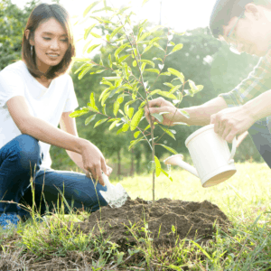 Carbon Offset for Couples