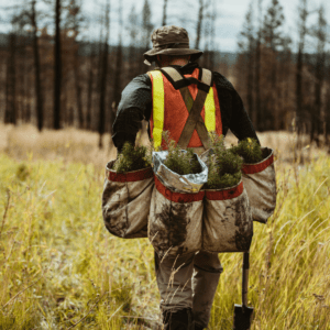Carbon Offset for Families