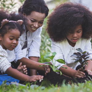 Family Carbon Offset