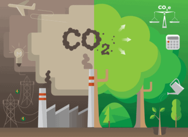 How Do I Offset My Carbon Footprint?