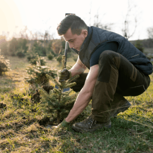 Individual Carbon Offset